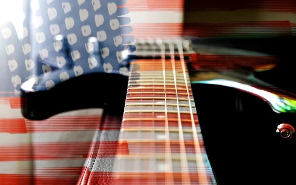Gitara USA, fot. Pixabay